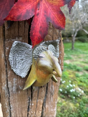grigri
